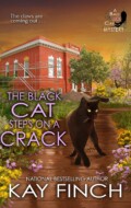 "The Black Cat Steps on a Crack" Kay Finch "The Black Cat Steps on a Crack" Kay Finch
