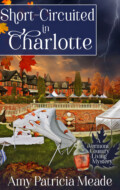 "Short-Circuited in Charlotte" Amy Patricia Meade